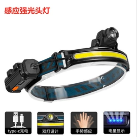 提灯;手电筒;野营/露营灯