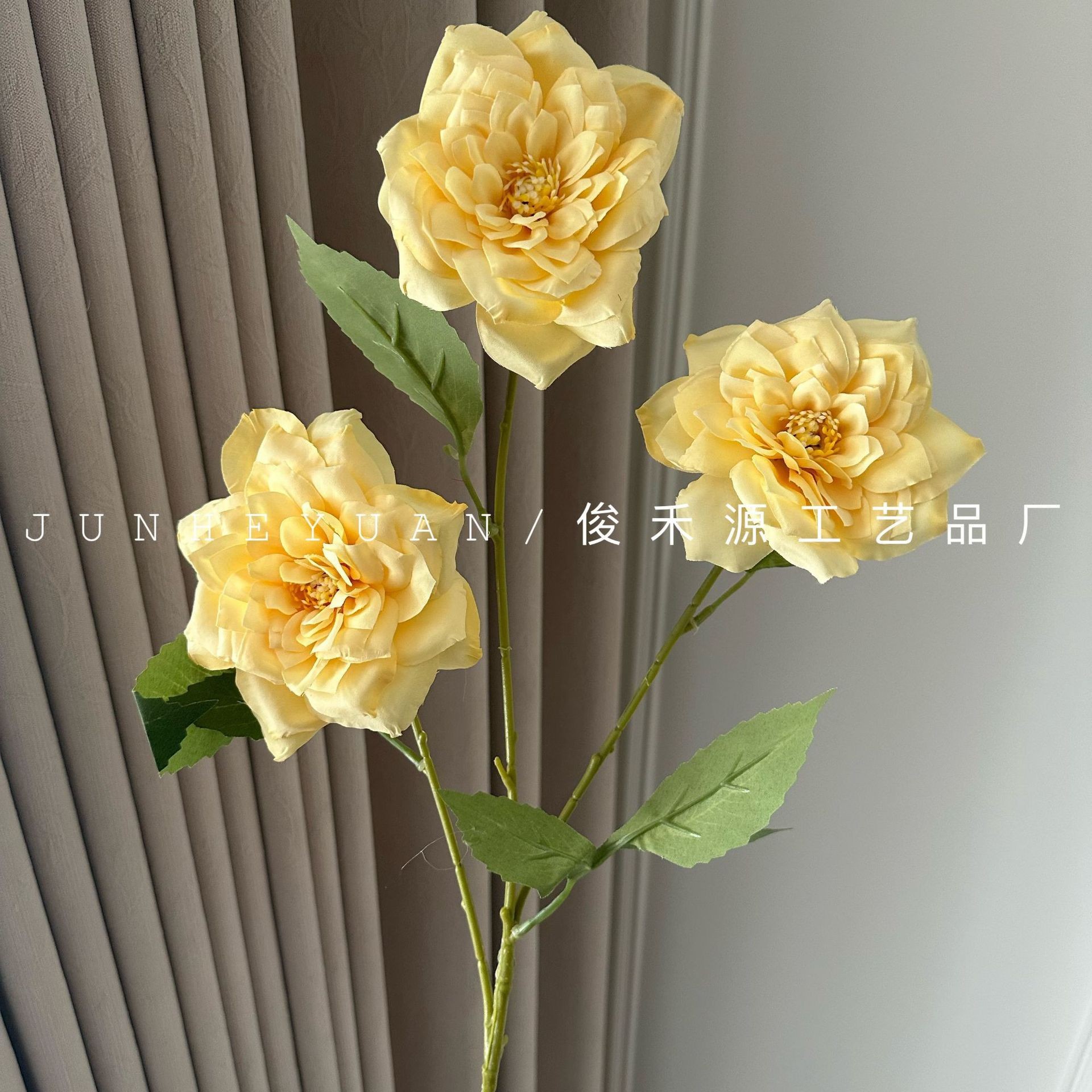 우아한 장미 3송이