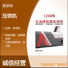 1250吨金属屑压饼机 废铁屑钢屑金属压块机  铝屑成型压圆柱饼