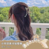 Metal advanced elegant shark, hairgrip, crab pin, brand big hair accessory, high-quality style, South Korea