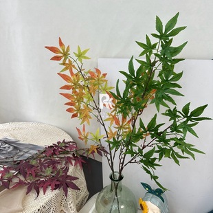 ����Gֲ�٘��~��֧�uצ���~�G���~��c�������ò廨�b��@�쾰