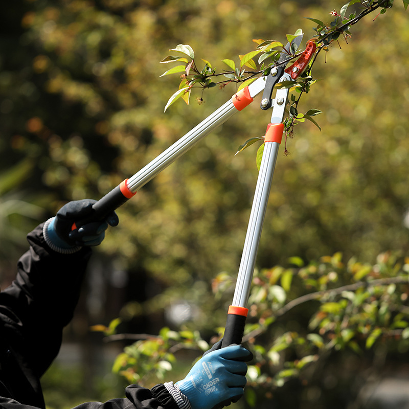 朱雀贸易航空铝单管中力士剪防滑锯齿卡口园林修枝剪刀园艺果树剪