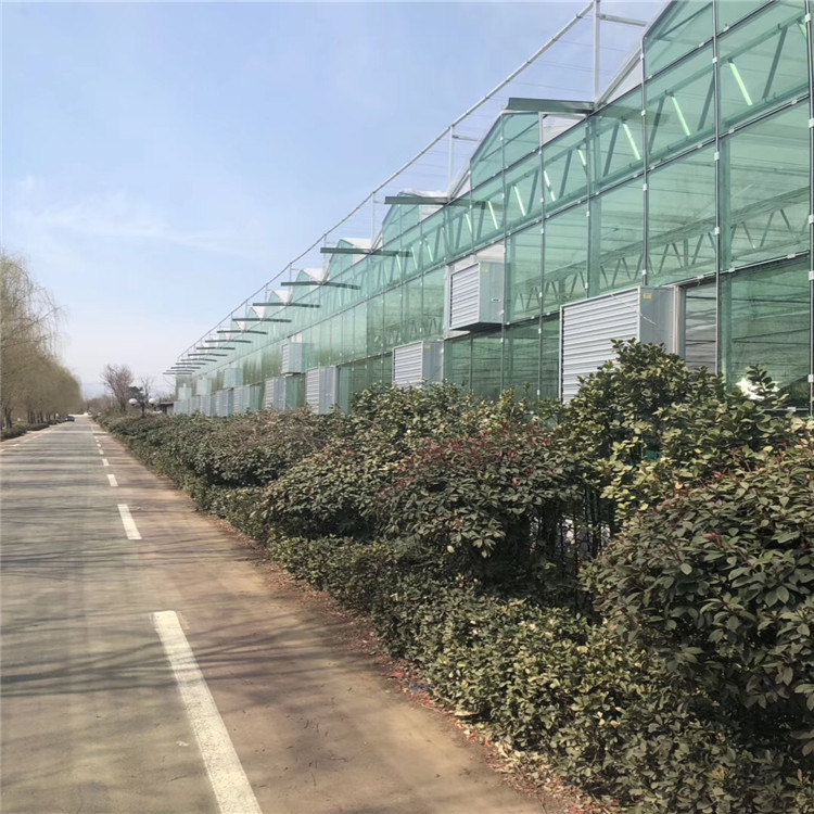 High-tech automatic control glass greenhouse skeleton construction various engineering skeleton cost seedbed soilless culture High-tech automatic control glass greenhouse skeleton construction various engineering skeleton cost seedbed soilless culture