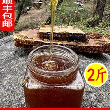 木桶土蜂蜜纯正天然农家自产秦岭正宗深山野生成熟纯天然原蜜礼盒