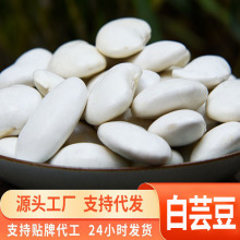 源头一件代发大白芸豆干货云南农家大白豆做山皮膳食粉糯易煮芸豆