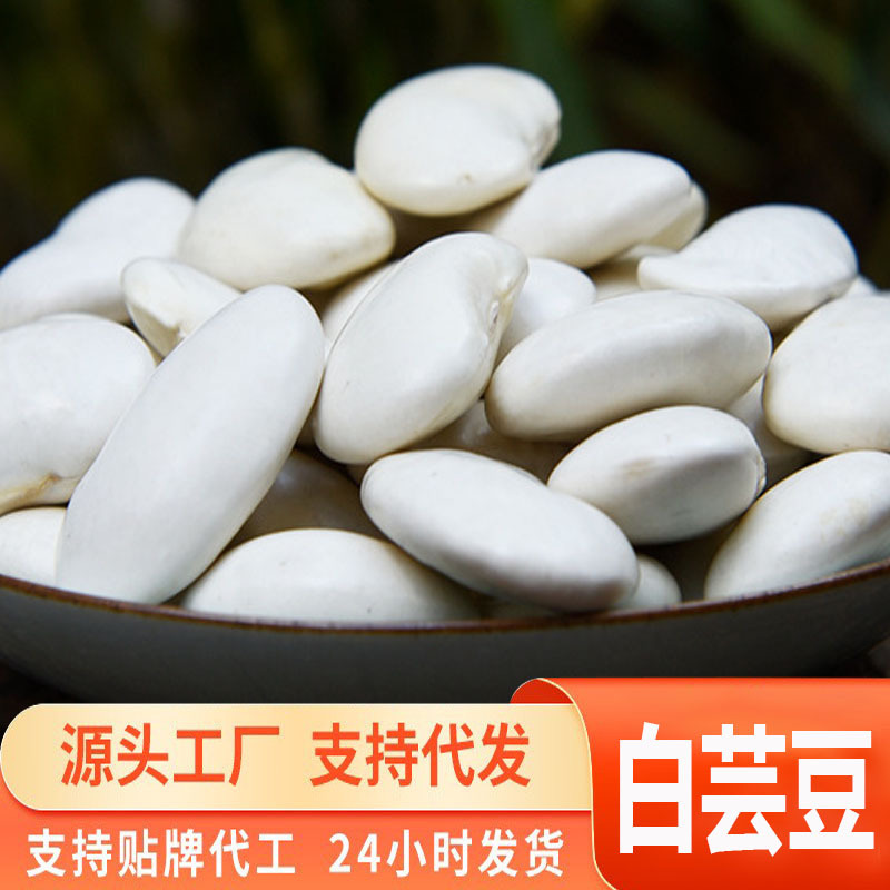 源头一件代发大白芸豆干货云南农家大白豆做山皮膳食粉糯易煮芸豆
