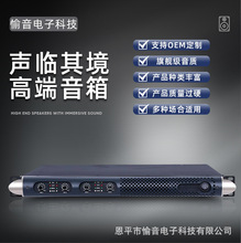 功放机两通道四通道KTV舞台婚庆演出专业功放音箱设备厂家音响