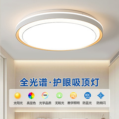 简约大气客厅灯智能语音创意圆形灯具2025新款卧室主灯护眼吸顶灯