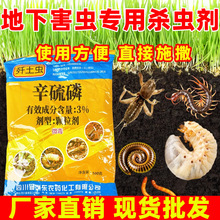 辛硫磷鳞麟颗粒土壤杀虫剂地下上害虫蛴螬大地老虎蝼蛄农药全高效