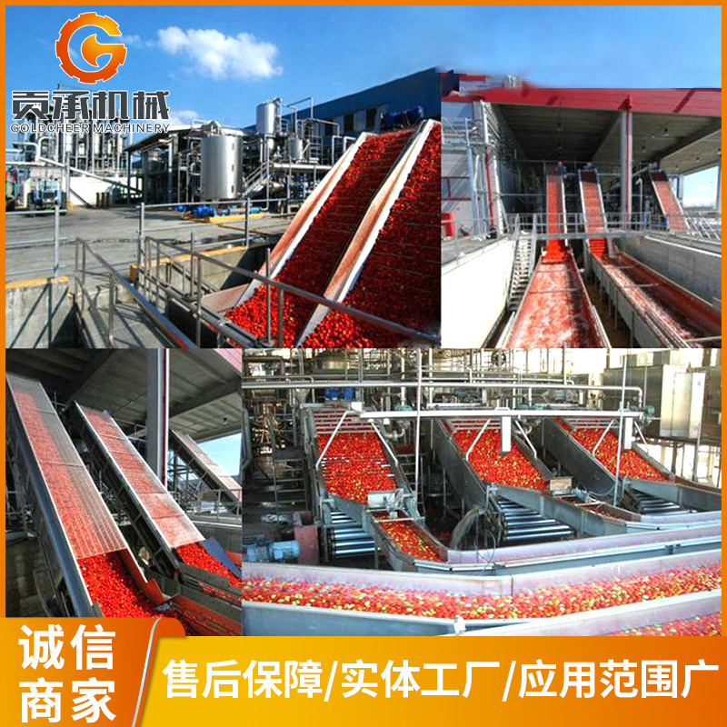 番茄酱生 产线  刺梨汁西番莲 石榴芒果 杏酱 罐装番茄酱生 产线