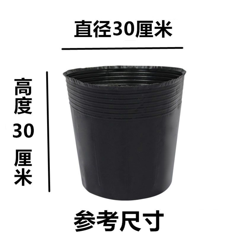 35*35 (diameter 30, height 30) 20 pieces
