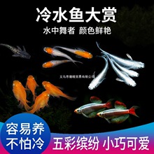 ԭ����ˮ�~�^�p�~�^�����F�~�\�F����С�͵�ˮԭ���~���B���B�ͻ�