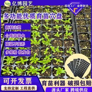 ����PѨ�P���������籭������������猣�ñP��������PѨ�P��P