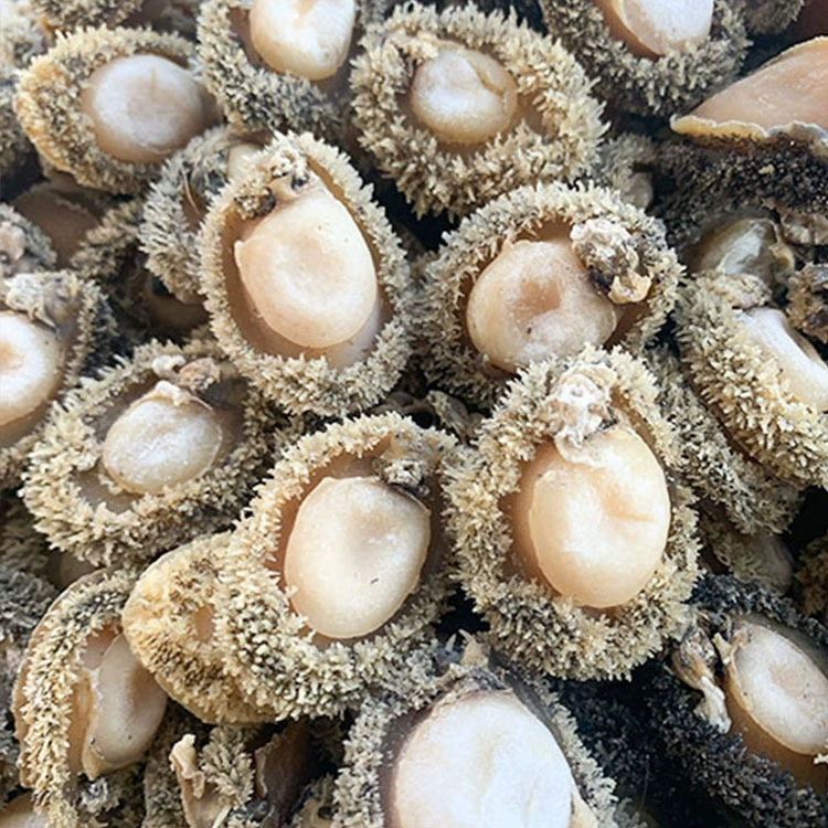 Оптовый товар Yide Lu Haiwei, дегустационная корейская устрица африканская abalone, вкусная легкая сухая сахарная сердце абалонеи беременным женщинам готовиться к беременности рагу суп питательное