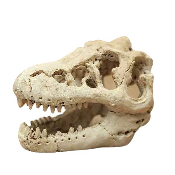 Производители смолы украшения для аквариумов водные растения ландшафтный дизайн динозавр Смола череп Аквариум Ландшафтный дизайн/украшение