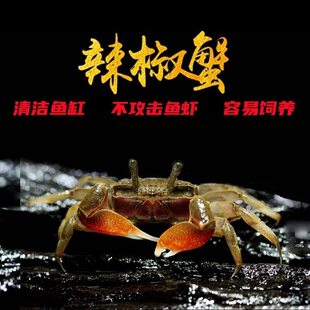 ��������з���w����΢���^��ˮ�Y���^�pз����ˮ�����坍���׻�