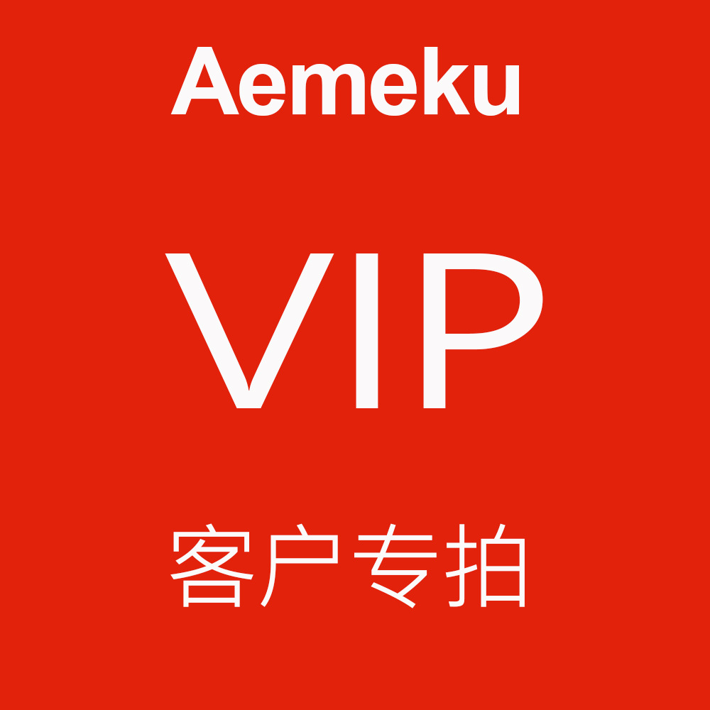 VIP客户专拍 Aemeku/爱米酷200W/300W车载逆变器多功能充电器