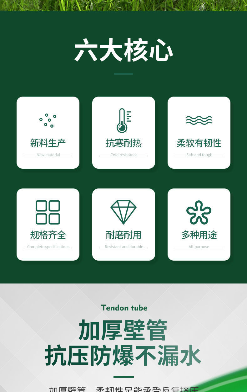 2f24d6ca-c143-4425-b463-d5b2925cfbe4.jpe