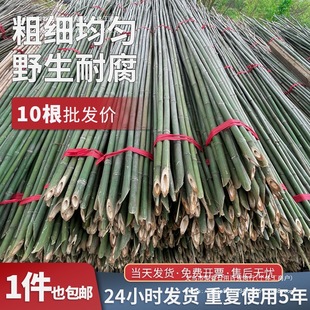 Small Bamboo Pole Vegetable Climbing Support Bamboo Pole Frame for Vegetable Garden Trellis Bamboo Pole Bean Fence Fence Colorful Flag Thin Bamboo