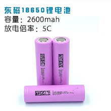 DMEGC东磁2600mAh18650电池动力5C放电电动工具扫地机采茶机电池