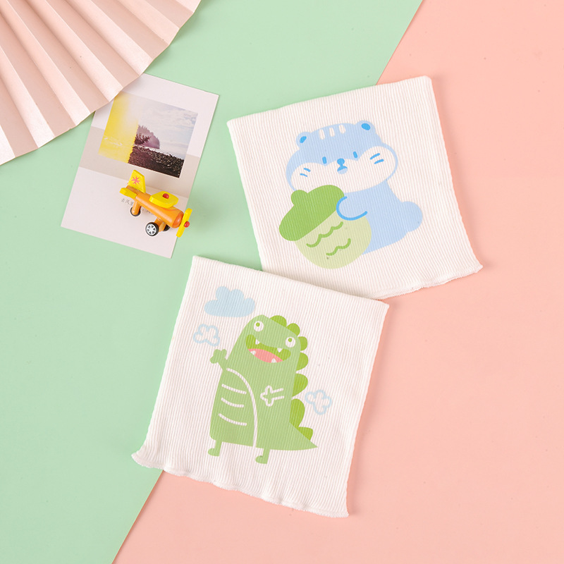【2 Pack】Raccoon Dinosaur Combo