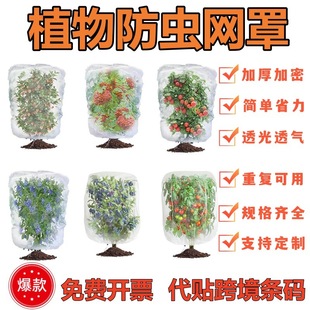 �羳ֲ�����ڹ���ֲ����B�W ���@�W ���x�WƬ �߲˸��w�W���x��