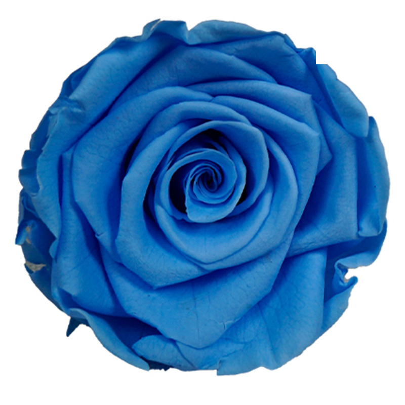 4-5cm 8 Flores, grado B DIY flores eternas, rosas eternas, Yunnan Kunming al por mayor, flores preservadas