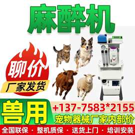 小动物呼吸麻醉机价格 新玛宠物医疗吸入麻醉设备厂家生产厂家价
