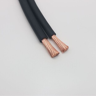 H01N2-D CCA�~���X 10mm&sup2;