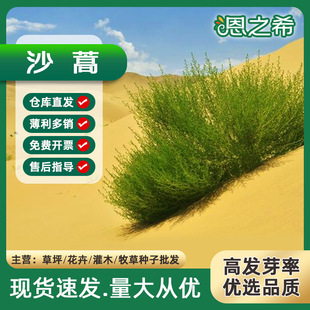 ���l���ݷN�� ɳ��N�� ��ɳ��N�� ��ɳ���ӻ�Įɳ���� ����ă�