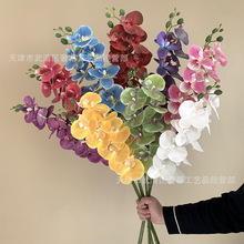 ���滨3D��ӡ�z��9�^�����m��Y�ò廨���þƵ겼���ٻ��羳���lA