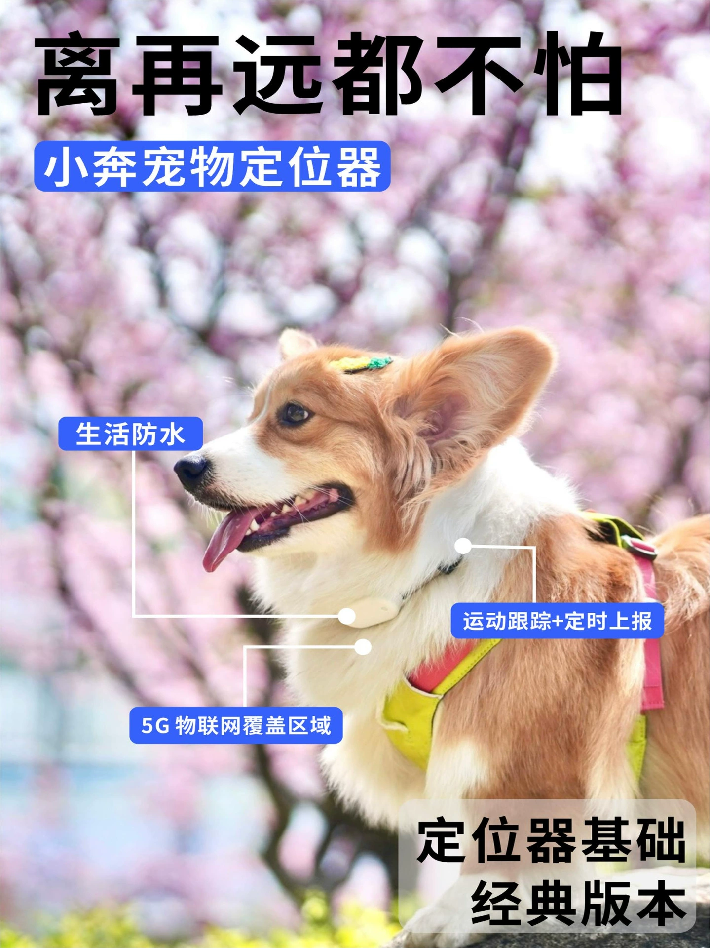 Локатор JoyCat, ошейник для кошек и собак, жетон для собаки, жетон для кошки, поиск домашних животных, защита от потери, подсчет шагов, GPS-слежение