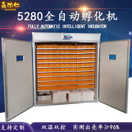 源头产地小鸡 孵化器 智能家用小型孵蛋器 大型全自动恒温孵化机