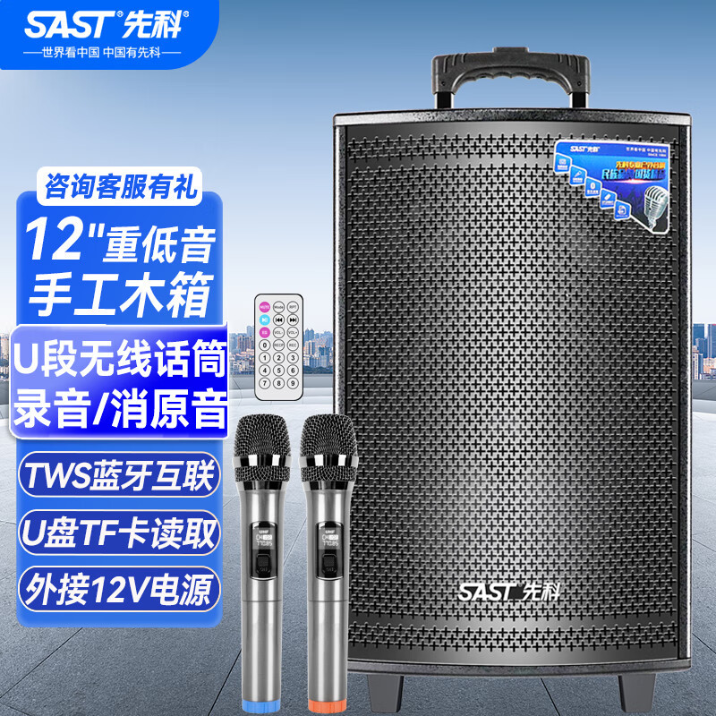 SA-122S [대형 전기 나무 상자] 12inch + 배터리 수명 24H