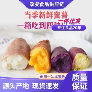 �V���������r�F���r����ɫ����ܛŴ�خa����������^�عϰ��]���l