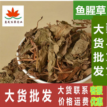 鱼腥草 鱼腥草 鱼腥草茶叶子折耳根 鱼腥草   500克   初级农产品