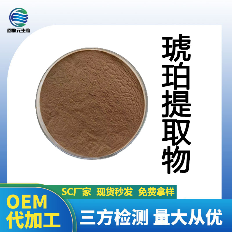琥珀提取物10:1 琥珀原粉 水溶现货 多种植物提取物 琥珀浸膏粉