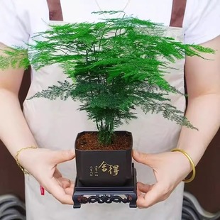 ���������҃ȿ͏d�k���������ļ�����ֲ�ﻨ�ܾGֲ���B��