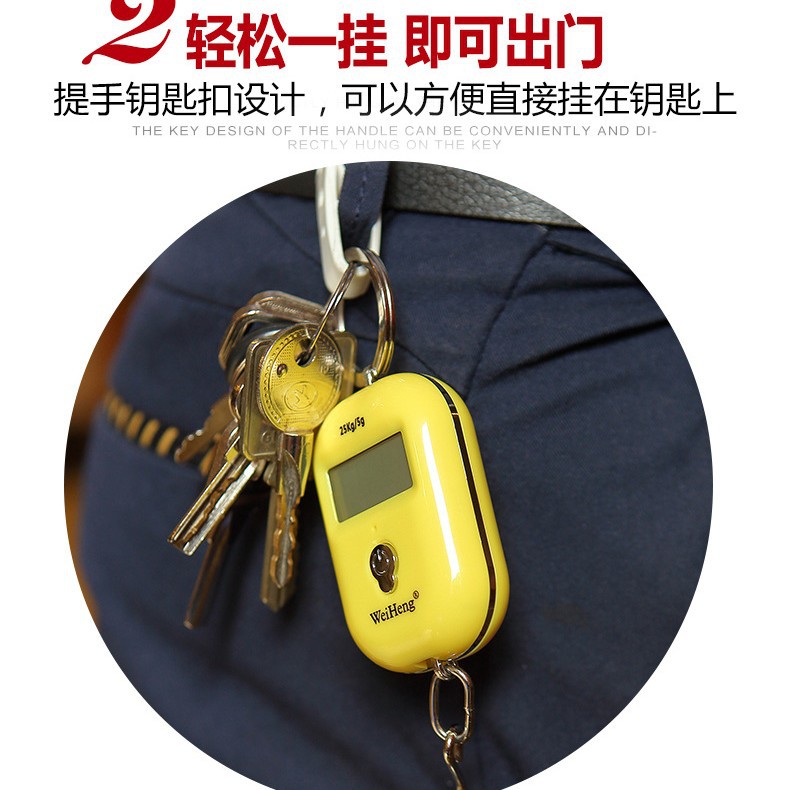 Weiheng Rechargeable Keychain Satchel Scale Wh-A21 Mini Digital Scale Digital Satchel Scale Can Be Used as a 25kg