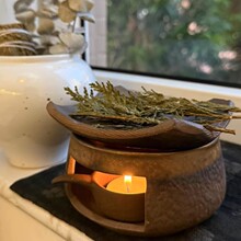 ��β��ѩ���}ľ�t��������������t�Շ�������С����޹�t�ڠt