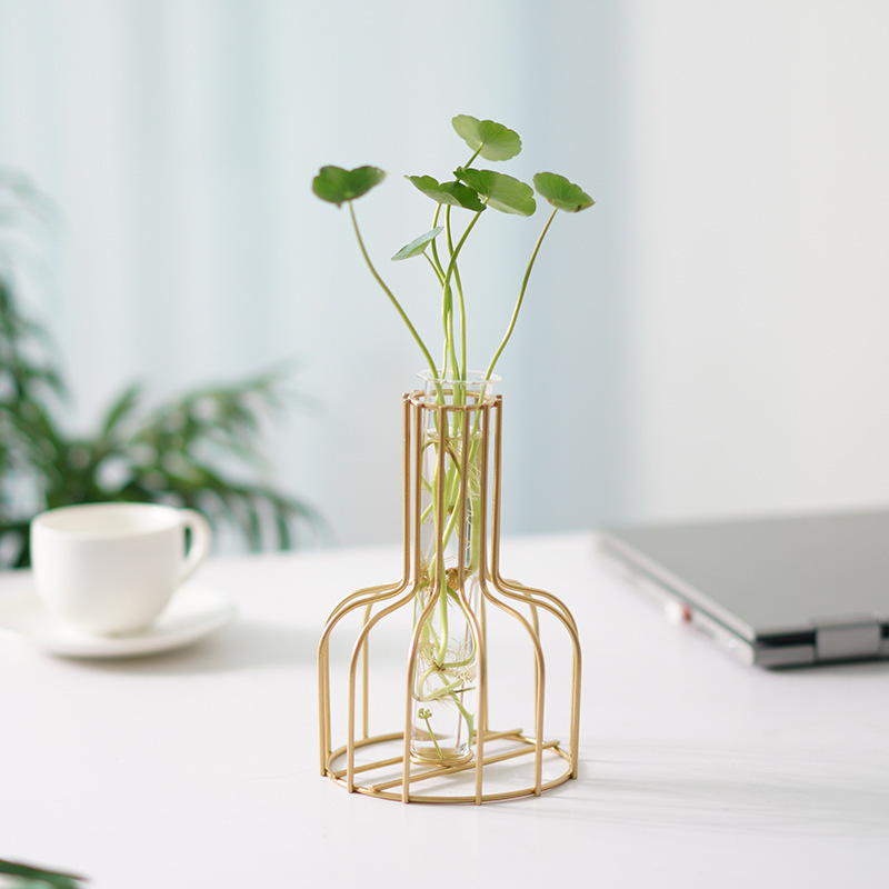 Nordic light luxury INS Iron Creative Hydroponic Hyders Living Room…