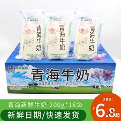青海牛奶青藏牧场纯牛奶儿童学生早餐奶透明袋高原网红袋装鲜牛奶