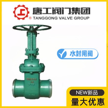 �ƹ��y�T���F����ʽˮ���l�yDSZ61H-10/16C�T䓸��x�l�y�ߜظ߉�