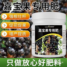 �w�����ÏͺϾ�ጷʘ������ЙC�ʹ���ٹ��䌚���ϠI�B�Ό����߻�