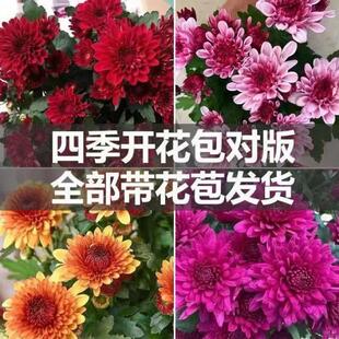 �ļ��ջ����Ԏ������l؛ȫ���_��������m��ǧ�^���̨�������ԏS