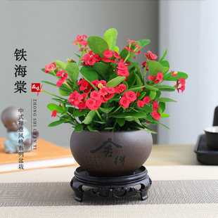 �F�������Ԏ����l؛����÷�ļ��_�����҃�С�Gֲ�̨����ֲ���辰