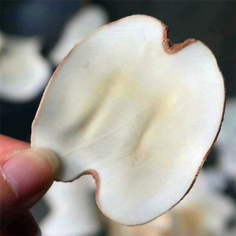 Dried Sea Coconut Slices Hai Di Ye 250g Raw Herbal Slices for Soup and Dessert key features