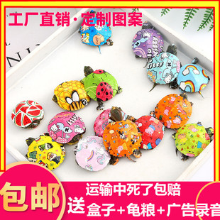 Դ�^�S���߲�С�����������Ų�С�������w�W�t��ɫС�����^�p����