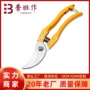 摘果园林修枝剪园艺剪刀