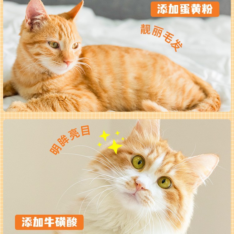 Comida para gatos para gatitos de enero a marzo gato de leche 1.25kg 2 comida para perros pastel de leche títere gatito gato precio completo